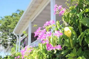 蒙彼利埃种植园和海滩度假村 Charlestown